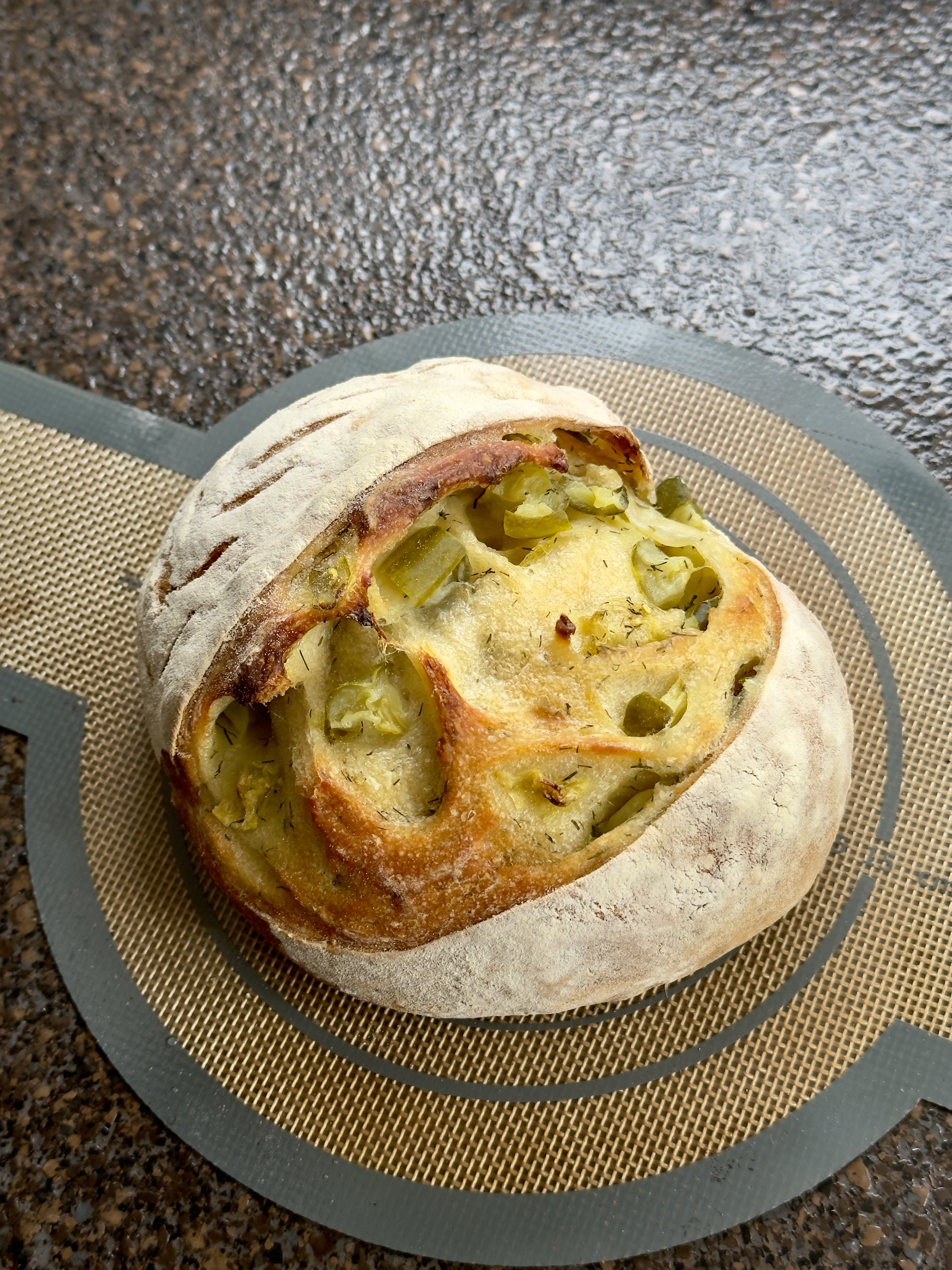Dill Pickle 6”