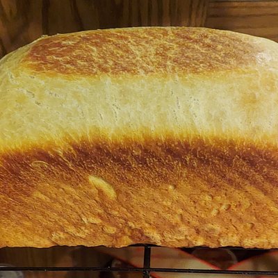 Sourdough Sandwich Bread - 2 lb Loaf