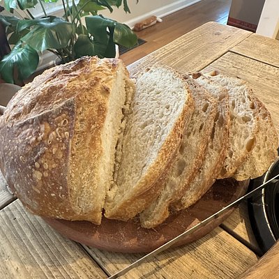 Classic White - Large Boule