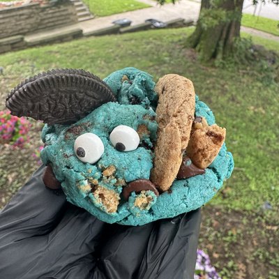 Cookie Monster 💙🍪