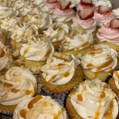 Cupcakes 24ct 