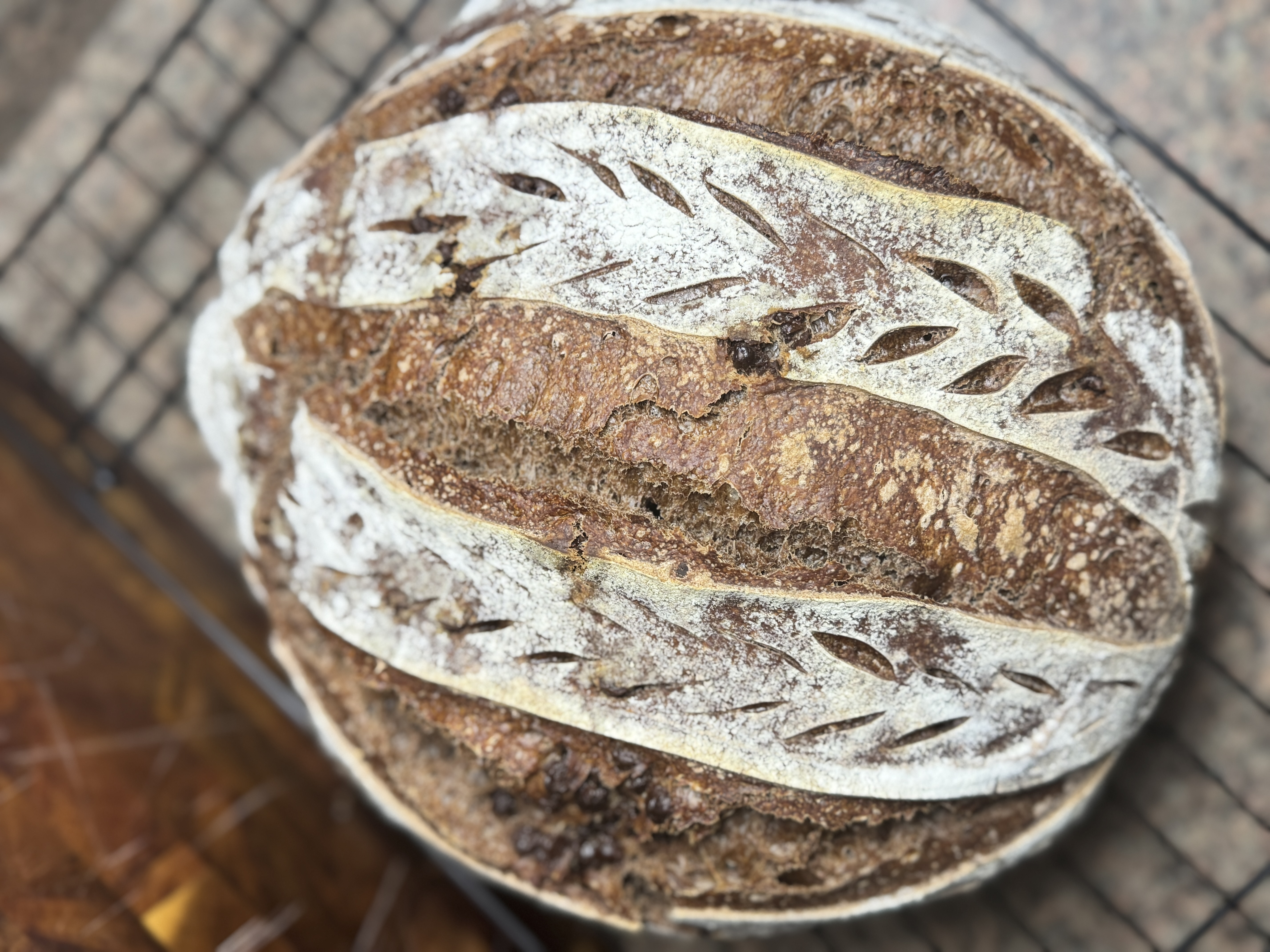 Sourdough Bread(Double Chocolate) Loaf
