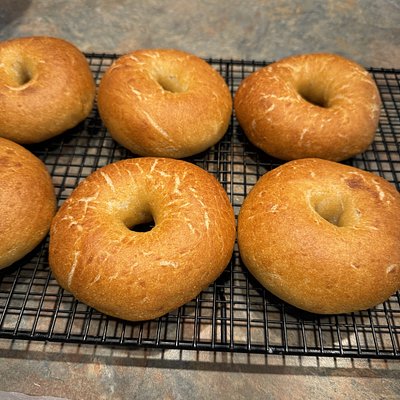 Bagels (6)