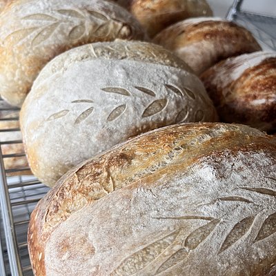 Everything Sourdough