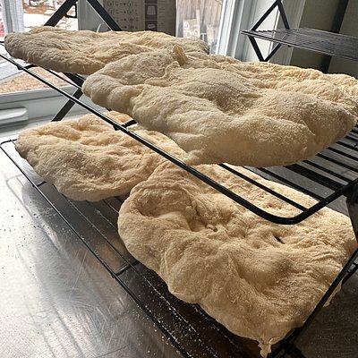 Sourdough Pizza Shells