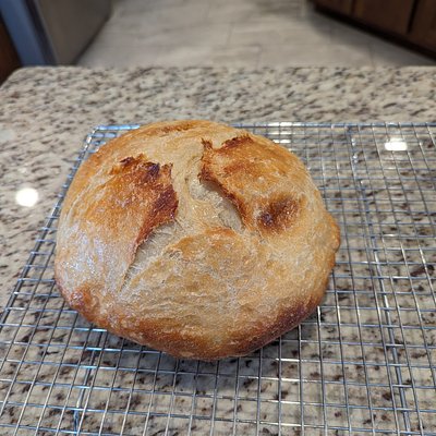 Plain Sourdough Round