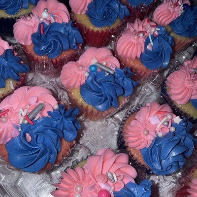 Basic Dozen Cupcakes 