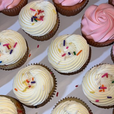 1 Dozen Cupcakes 