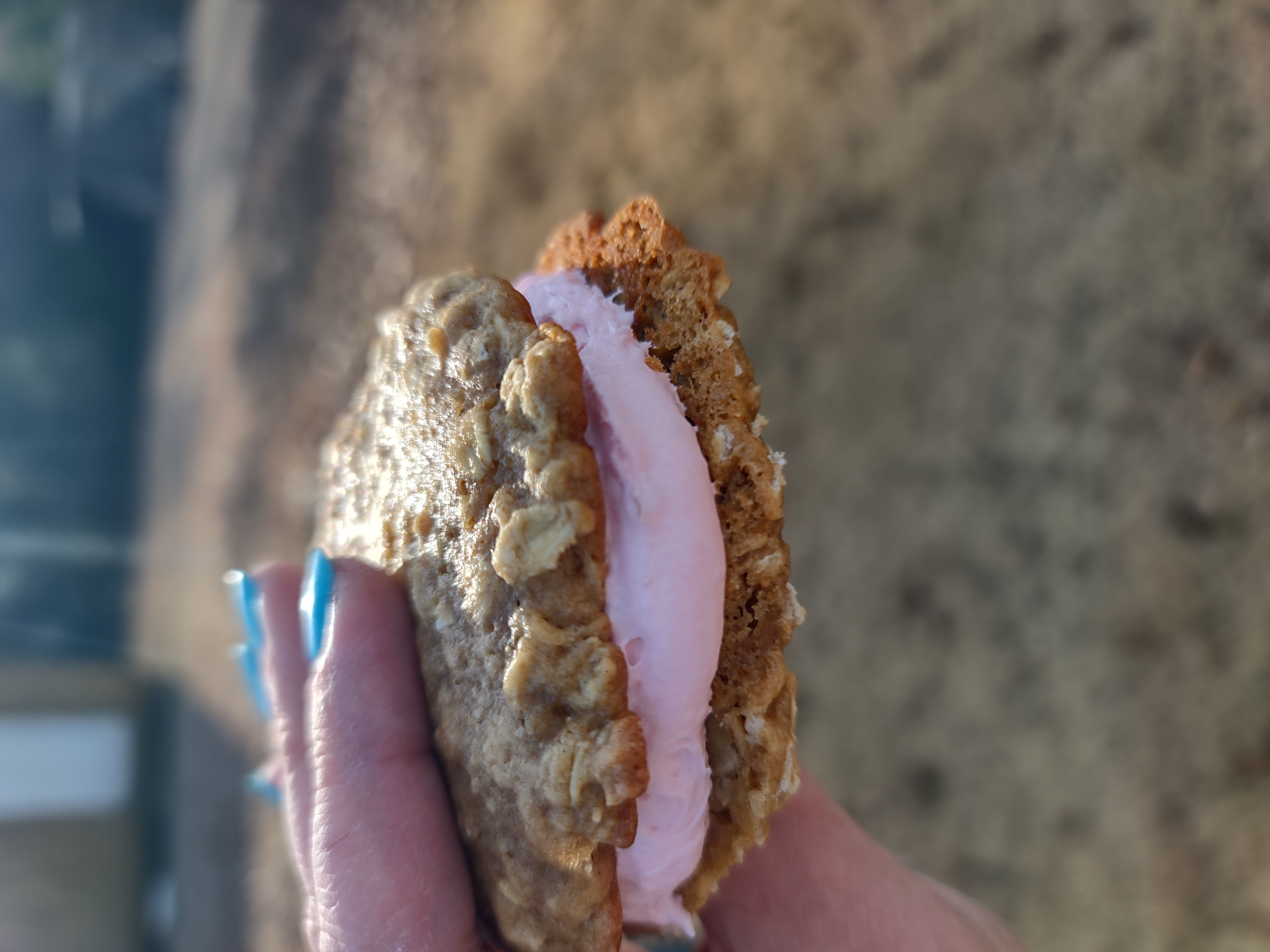 Strawberry Oatmeal Cream Pies 