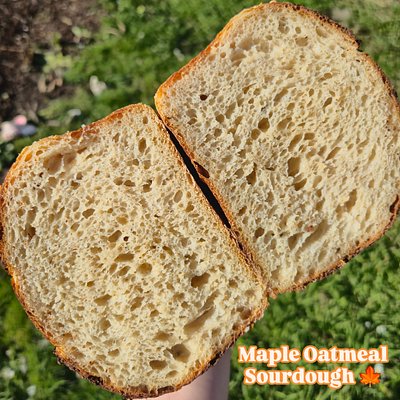 Maple Oatmeal Sourdough Loaf