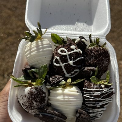 6 Chocolate Covered Strawberries 