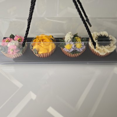 4ct Cupcake Clear Box