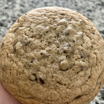 Sourdough Chocolate Chip Cookies 
