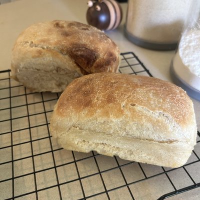 Organic Mini Classic Sourdough Loaf 