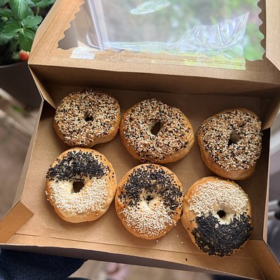 Bagels / 6 Pack