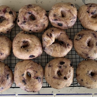 Bagels (fresh Blueberry, Sesame, Everything , Jalapeno Cheddar, Herbs)