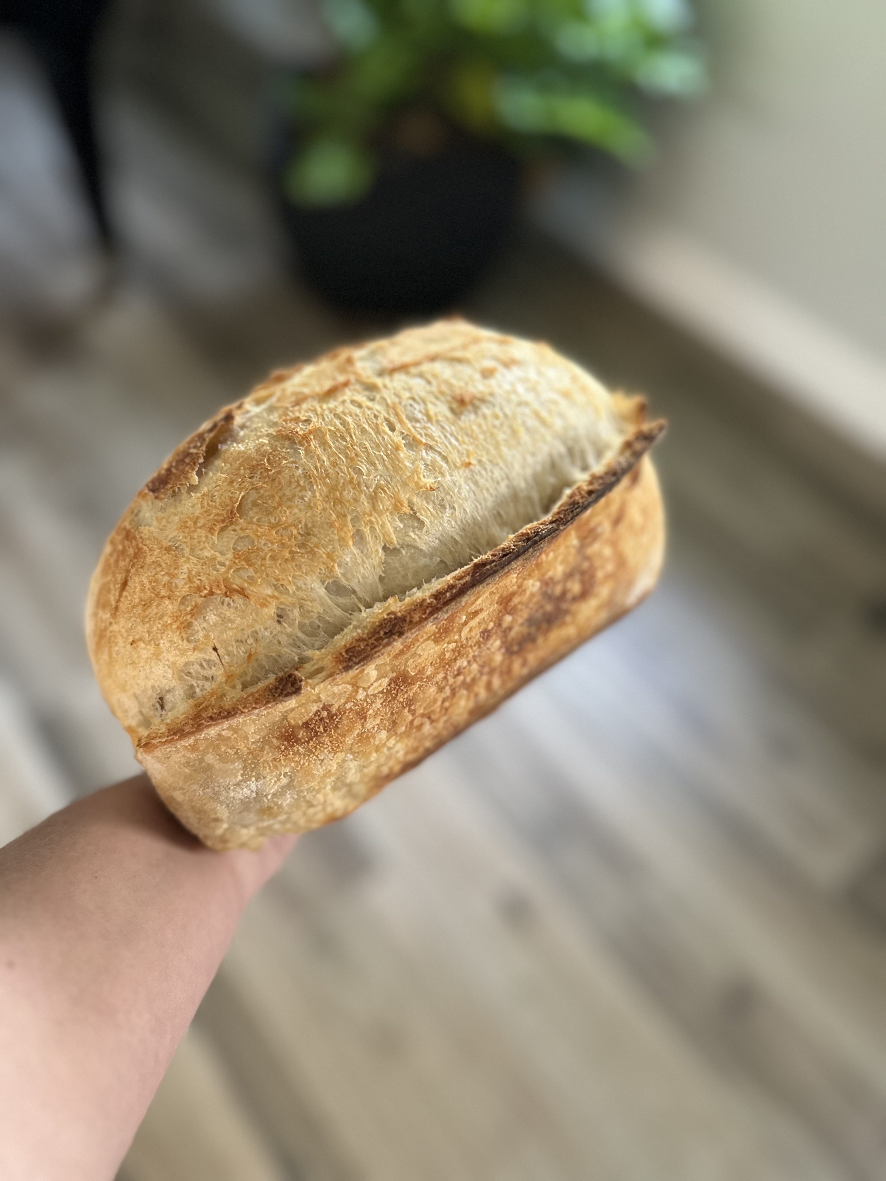 Classic Sourdough Laof