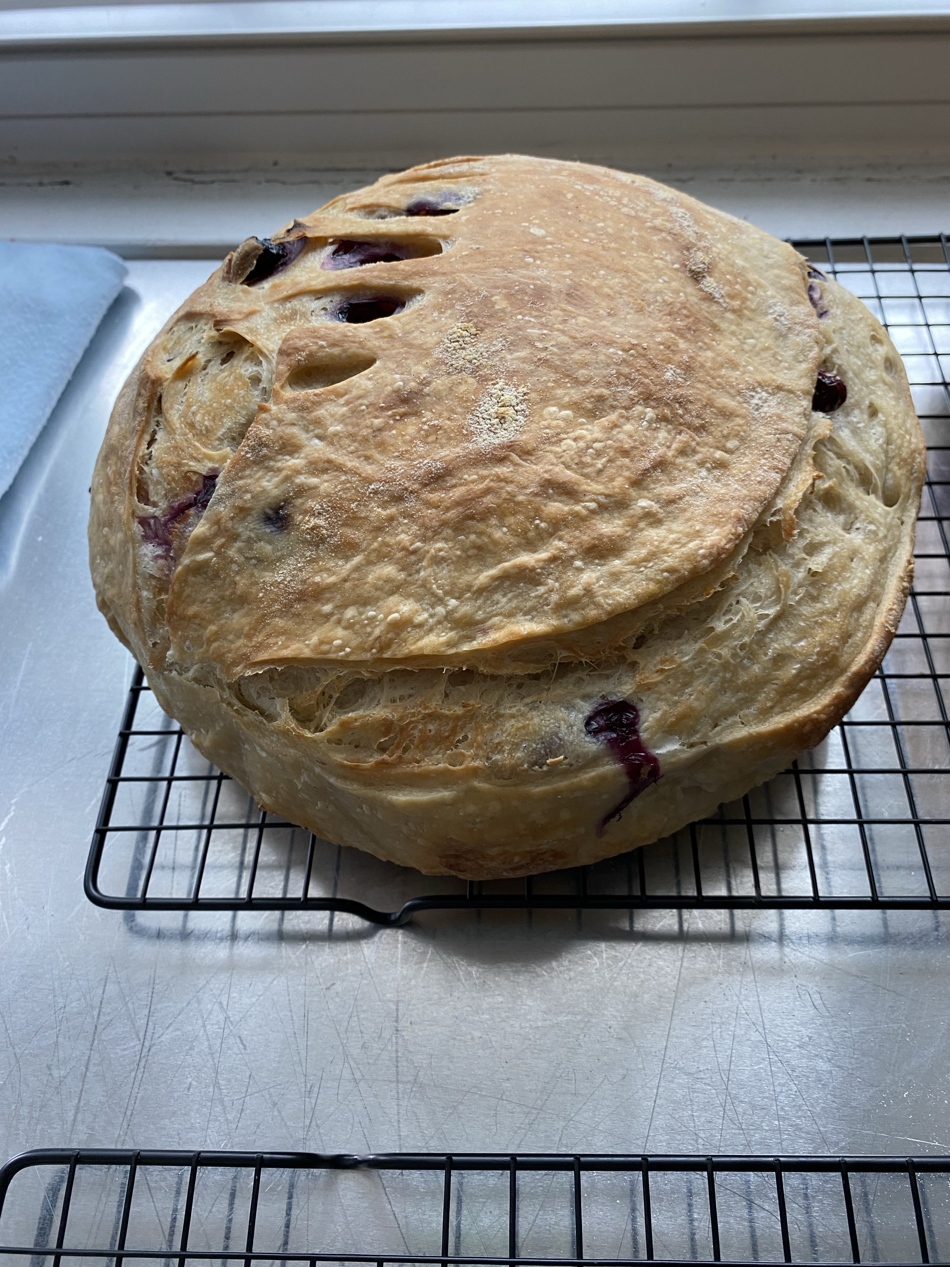 Blueberry Cream Cheese Boule