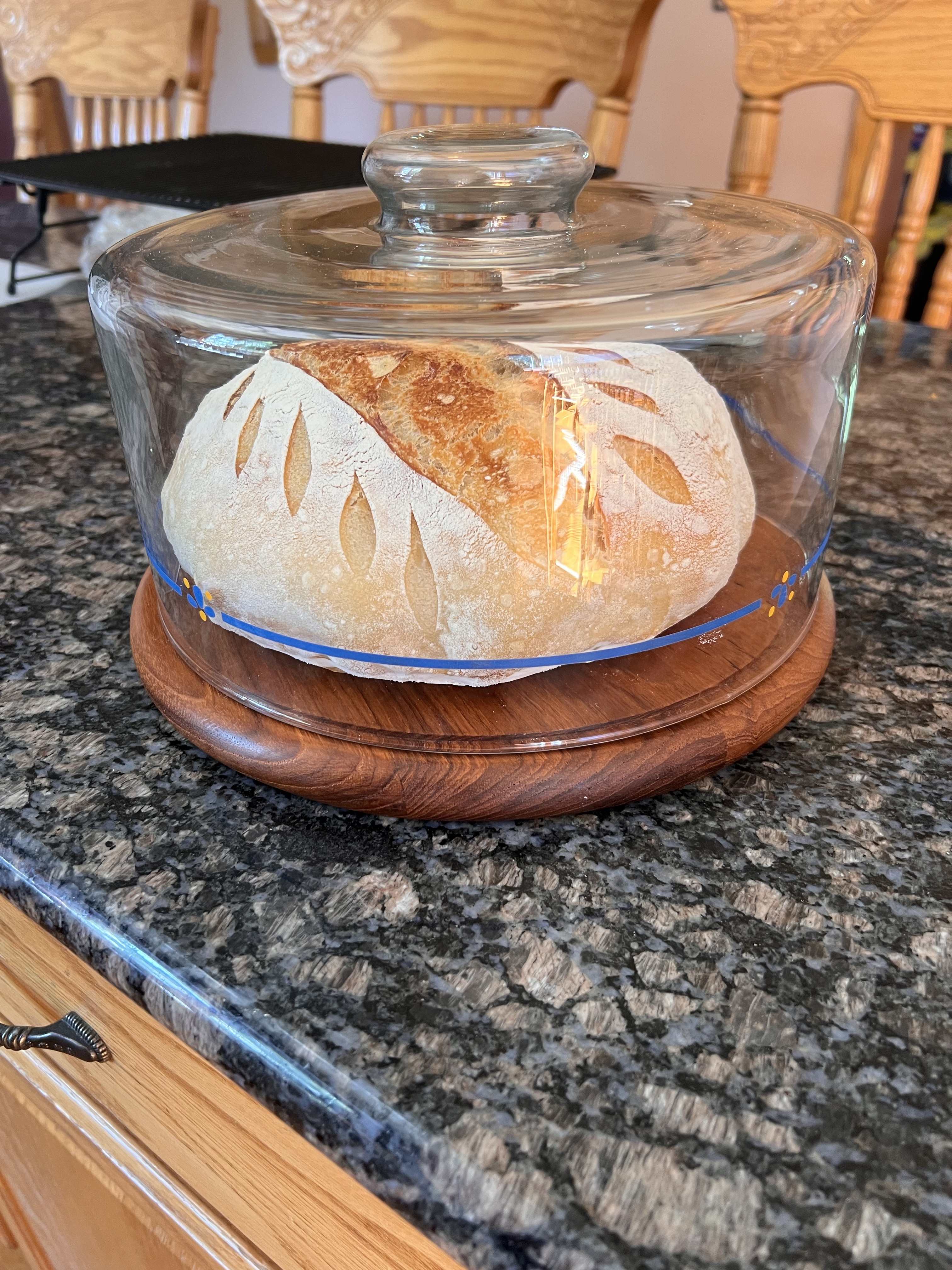 Plain Artisian Sourdough Bread