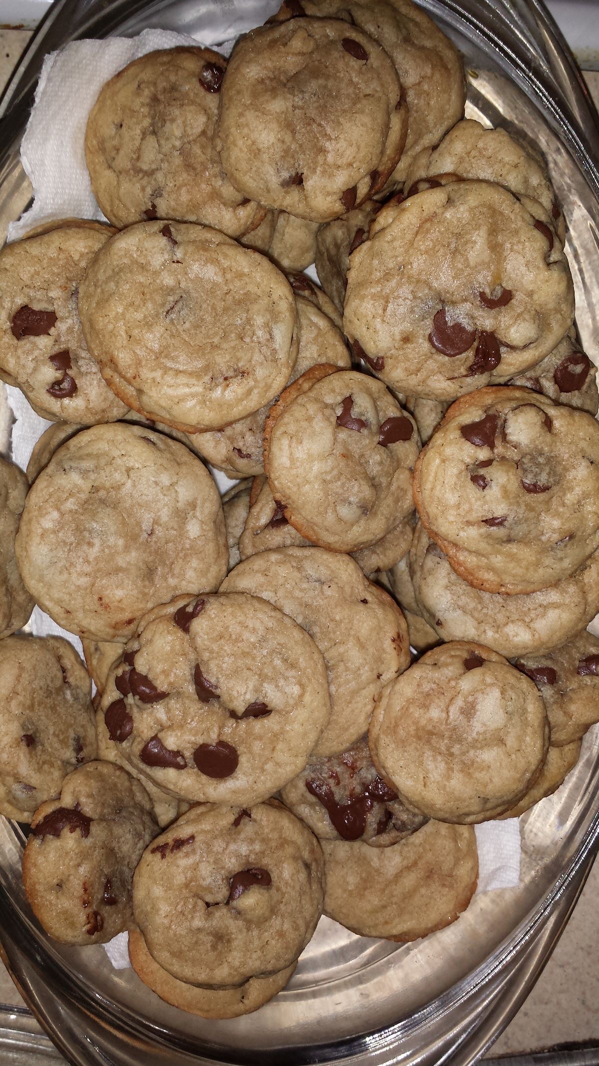 Chocolate Chip Cookie