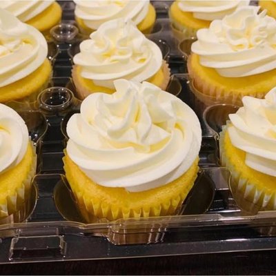 Basic Cupcakes 