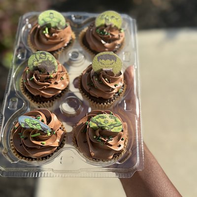 Chocolate Cupcakes