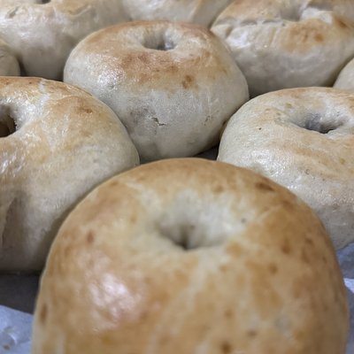 Plain Sourdough Bagels 8ct