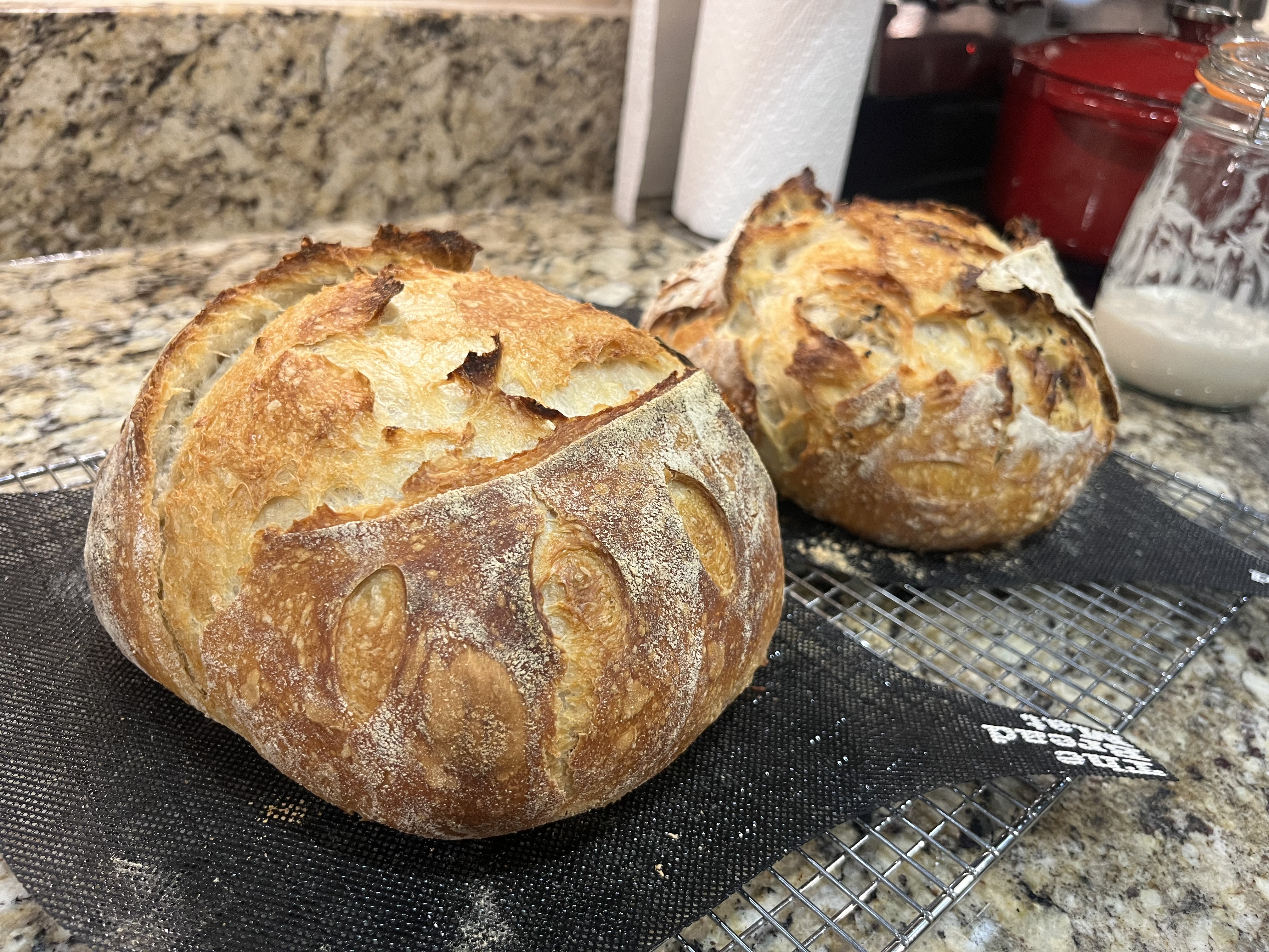 Signature Sourdough 