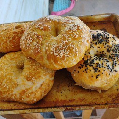 Gluten Free Bagels 