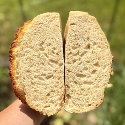 Plain Jane Organic Sourdough Loaf 