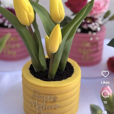 Mothers Day Flower Pot Cake 