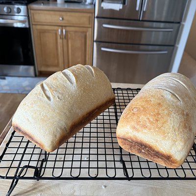 Sourdough Sandwich Loaf - Regular 