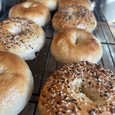 Sourdough Plain Bagels