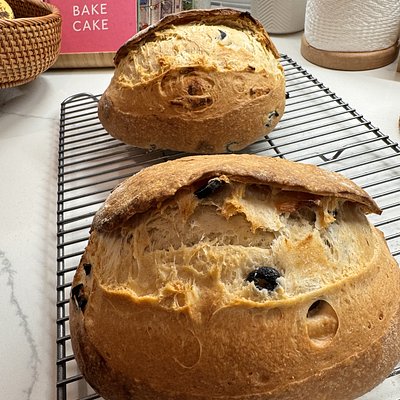 Olives & Roasted Garlic Sourdough Loaf