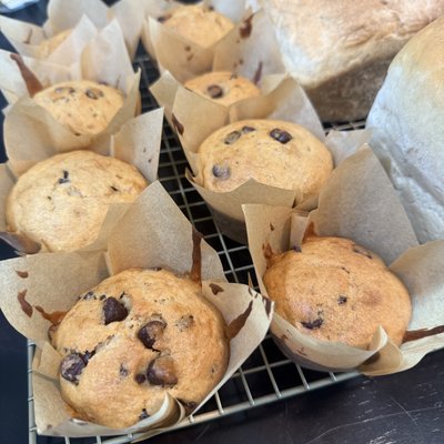 Sourdough Banana Chocolate Chip Muffins – Pack of 4