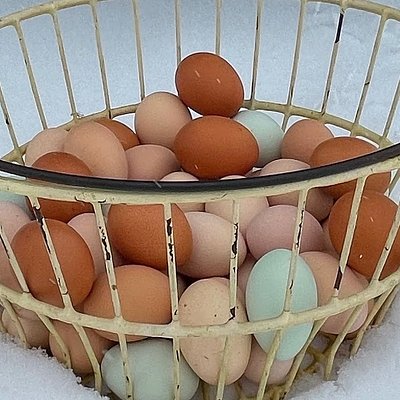 Pastured Raised Chicken Eggs