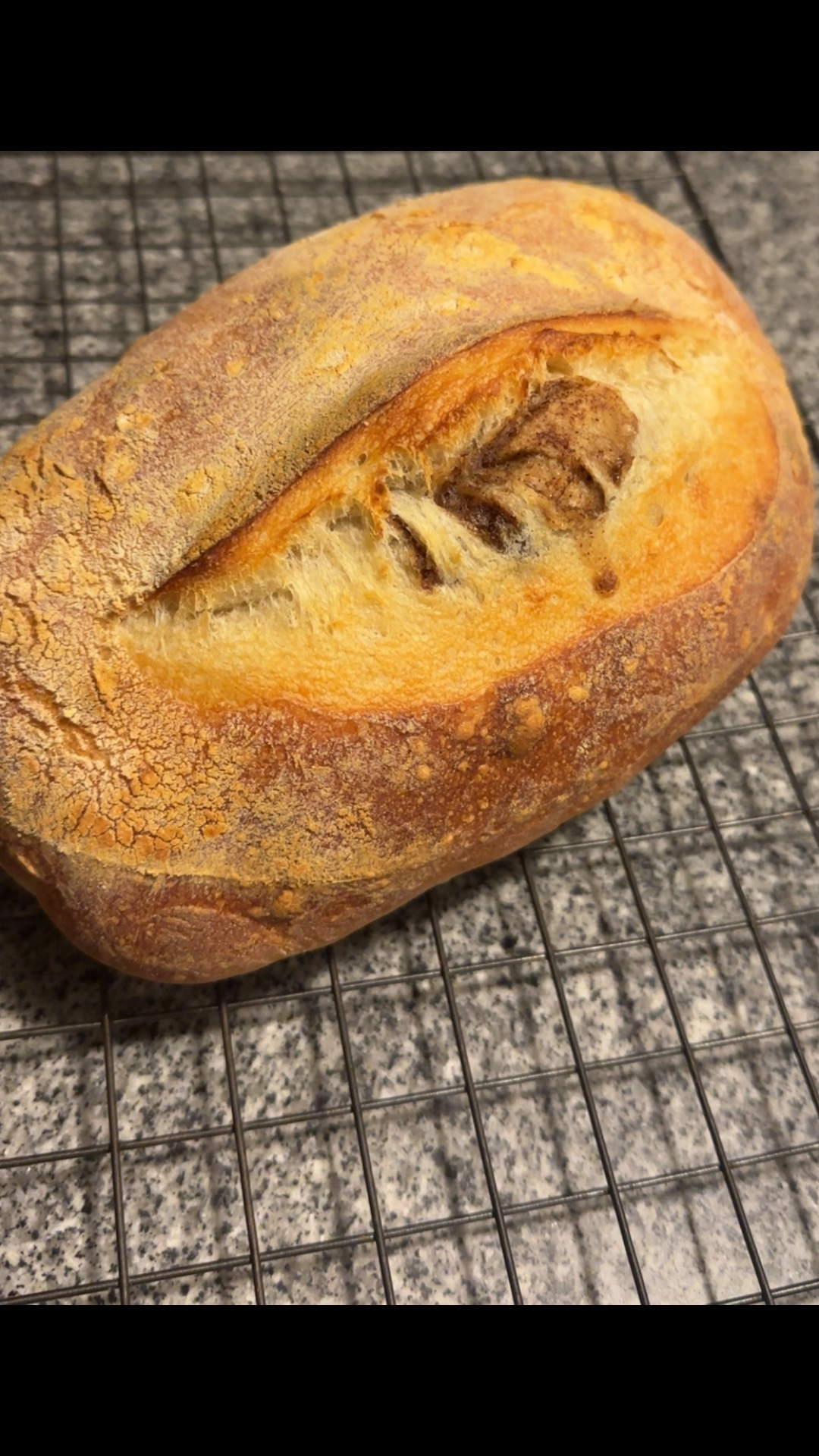 Cinnamon Sugar Sourdough 
