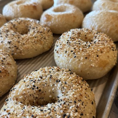 Everything Seasoning Bagel