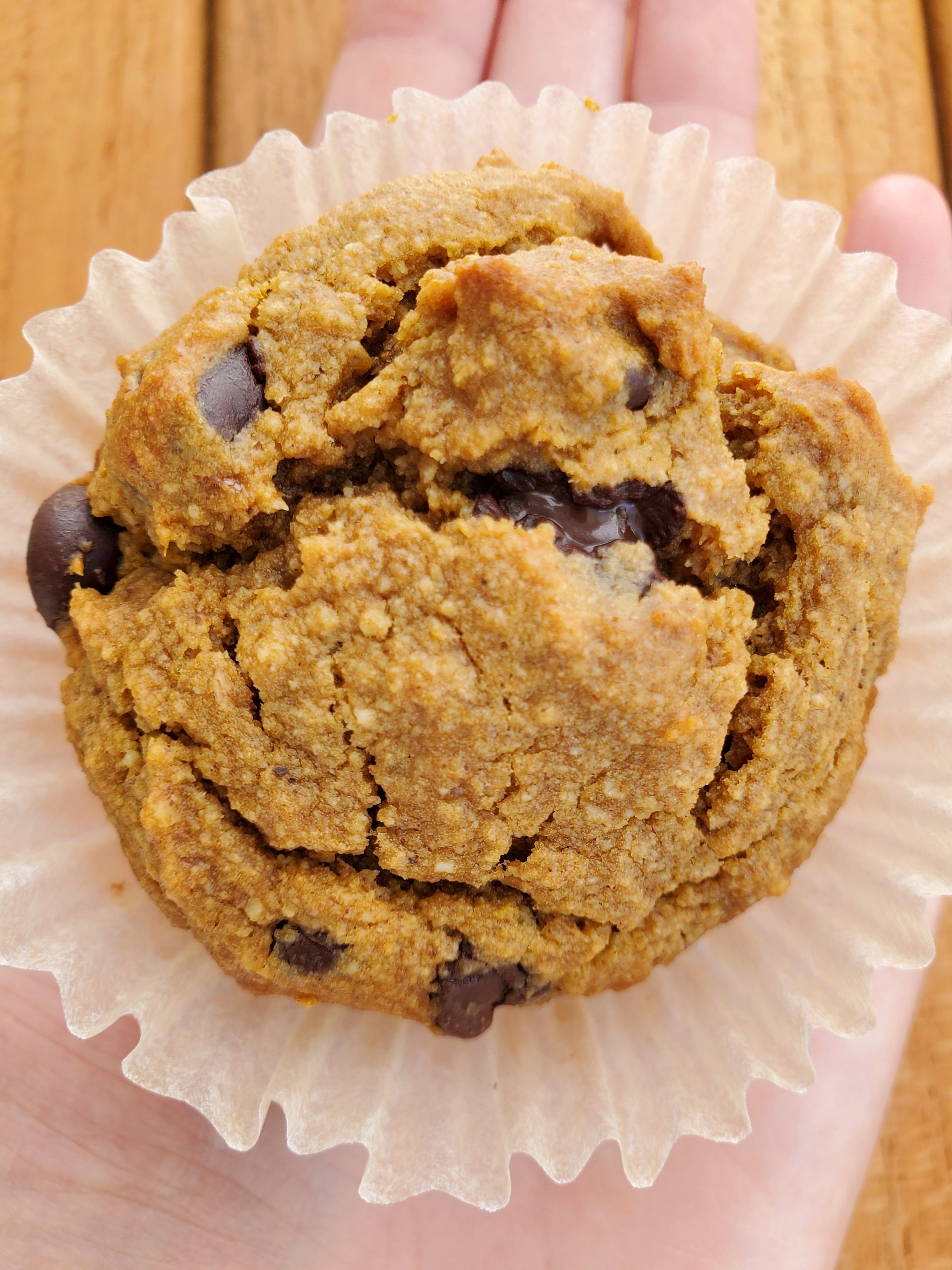 Pumpkin Chocolate Chip Muffins (Half Dozen)
