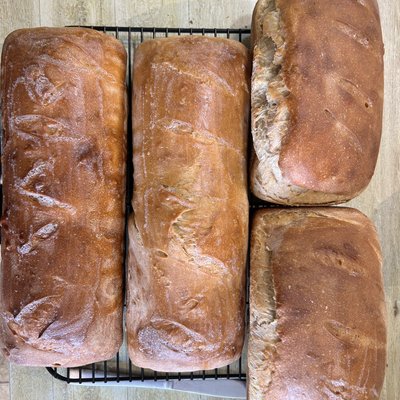 Sourdough- Sandwich loaf
