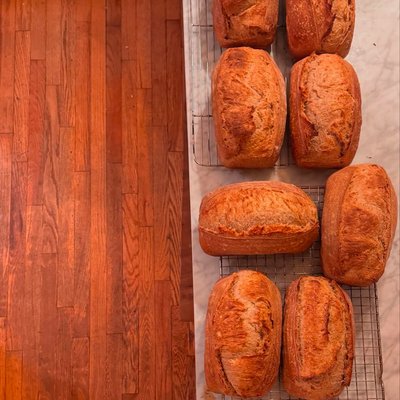 Organic Whole Wheat Sourdough Sandwich Loaf