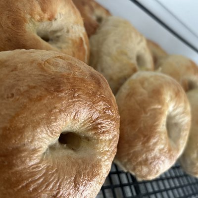 Plain Bagels