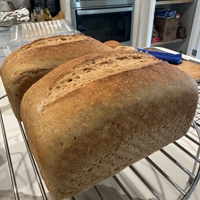 White Sandwich Sourdough Loaf