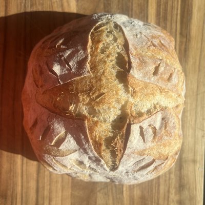 Classic Sourdough 