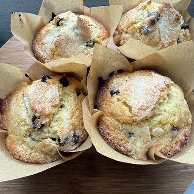 Chocolate Chip Muffins