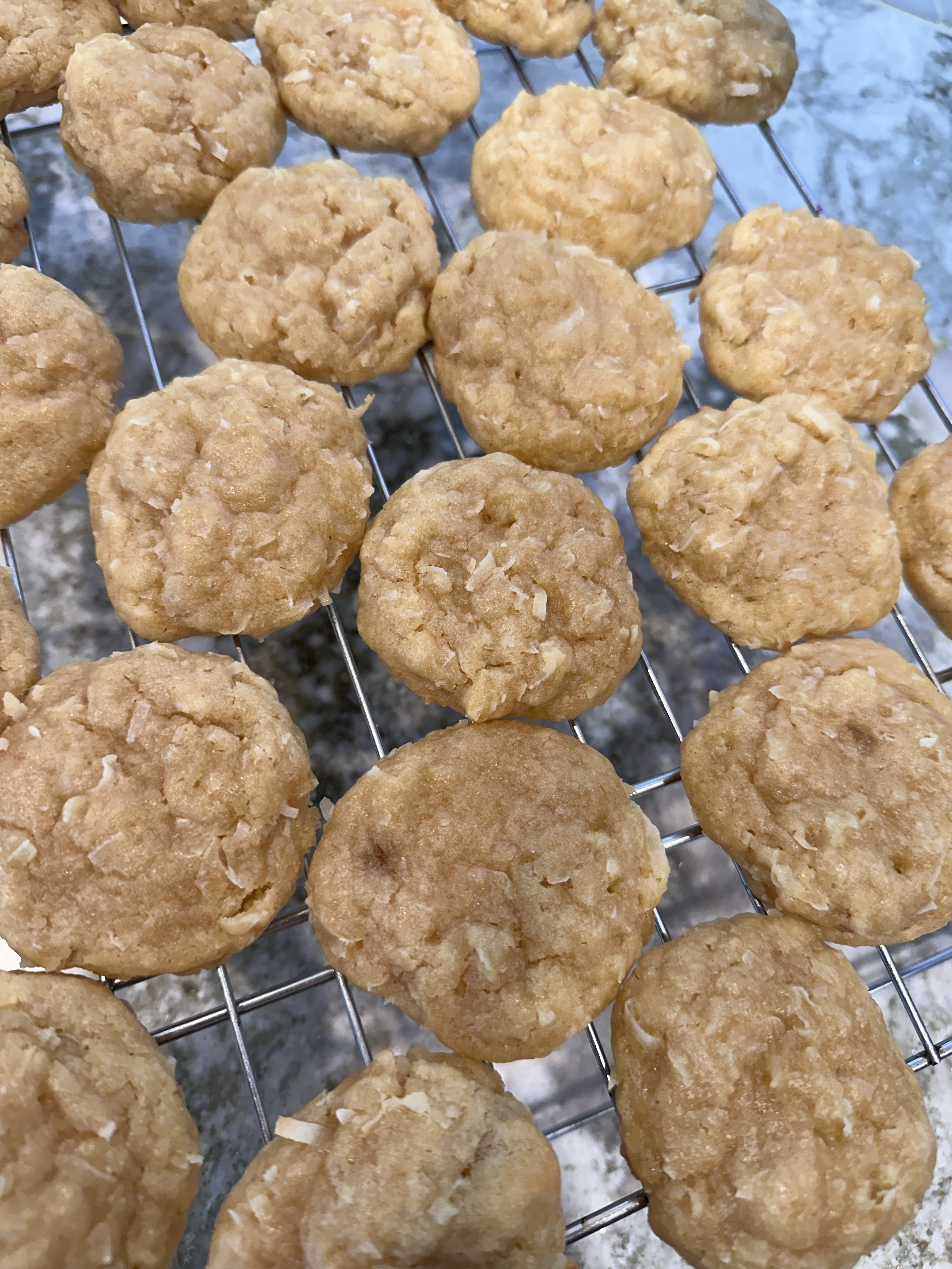 Coconut Cookies 
