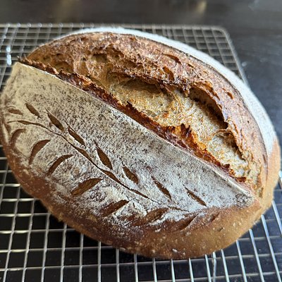 Organic Rye Sourdough 
