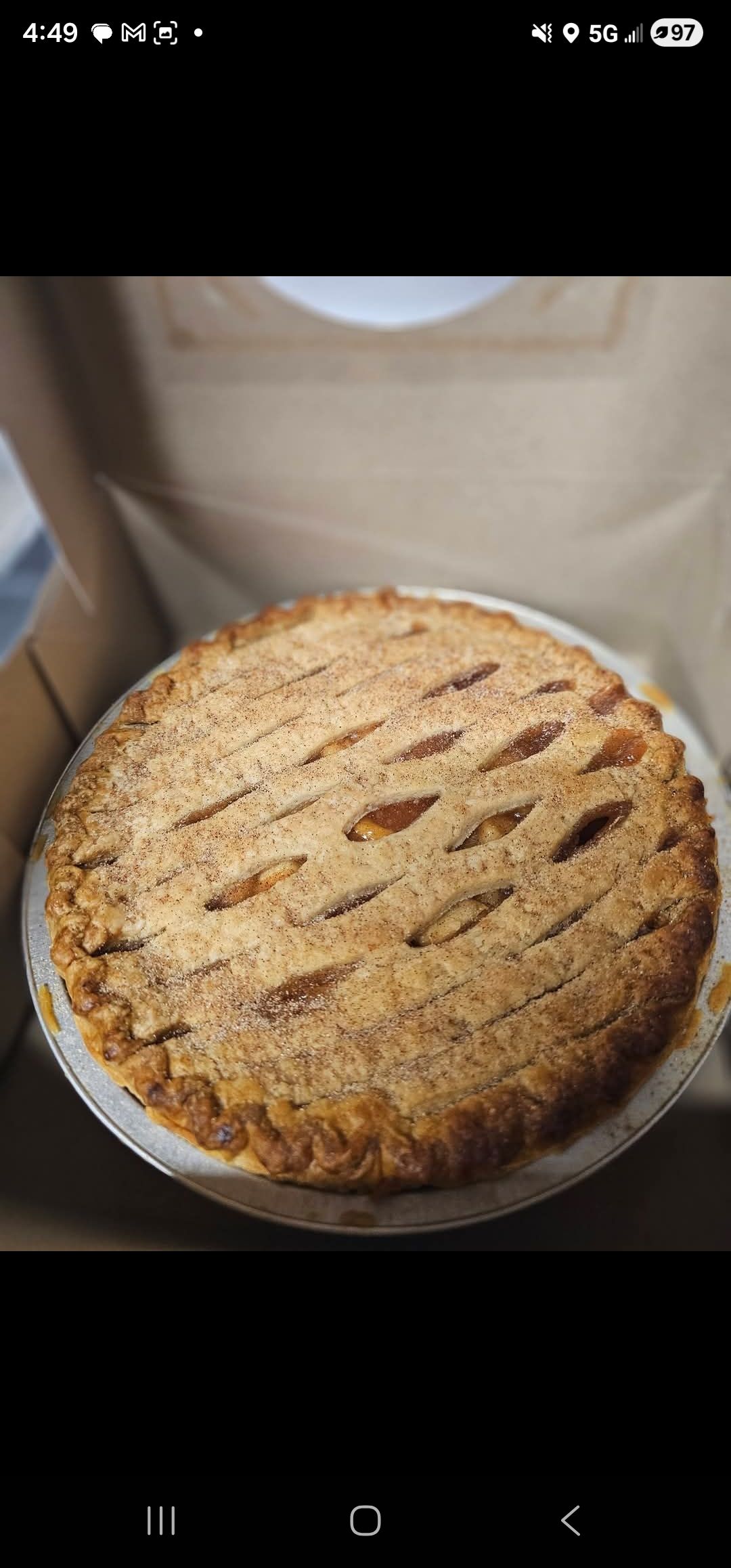 Apple Pie 