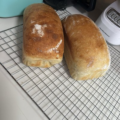 Sourdough Sandwich Loaf