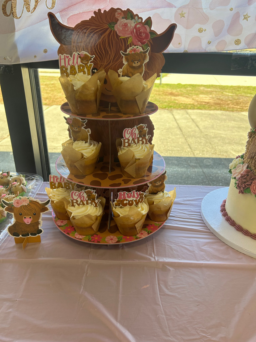 Dozen Cupcakes 